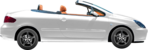 Peugeot 307 2.0 16V