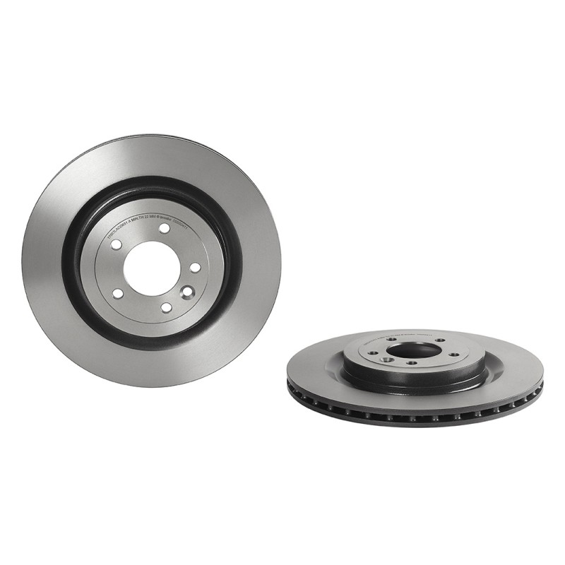 Remschijven Achteras Brembo Premium