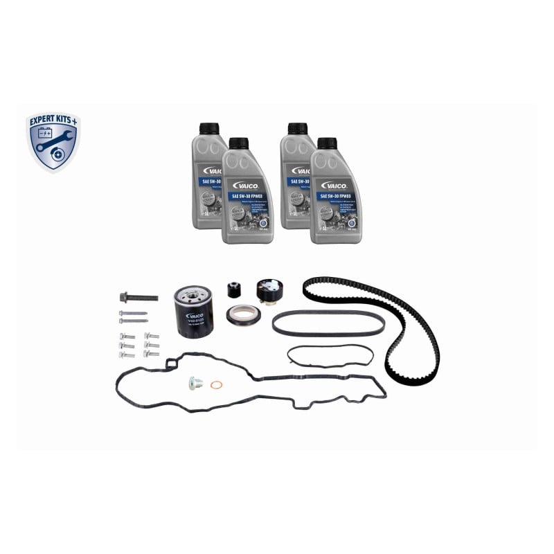 Distributieriemset